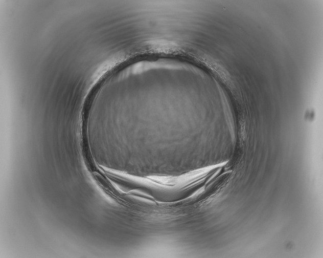 X0000093470630200711021233