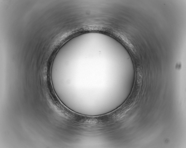 X0000093470631200711021233