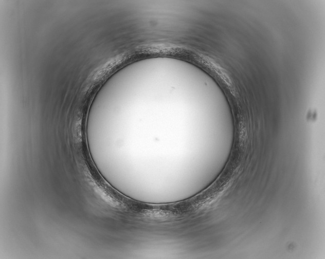 X0000093470633200711021233