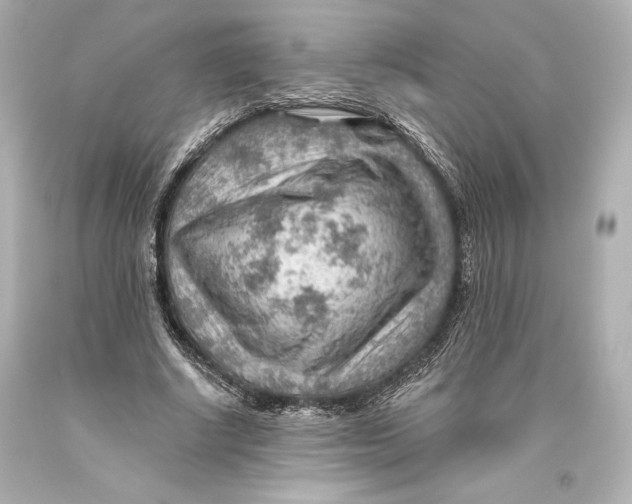 X0000093470634200711021233