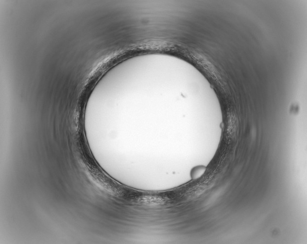 X0000093470636200711021233