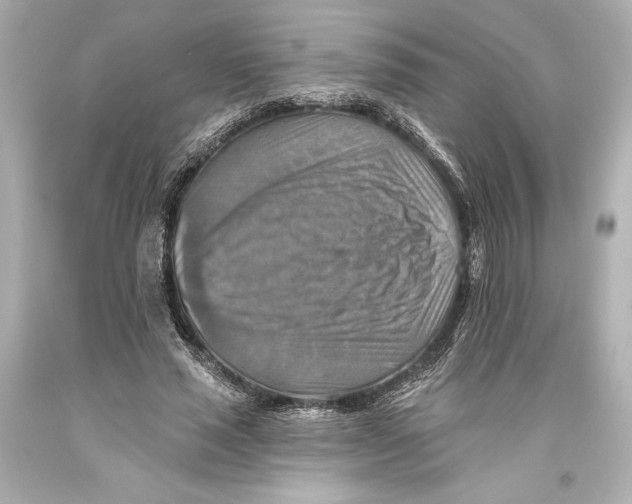 X0000093470637200711021233