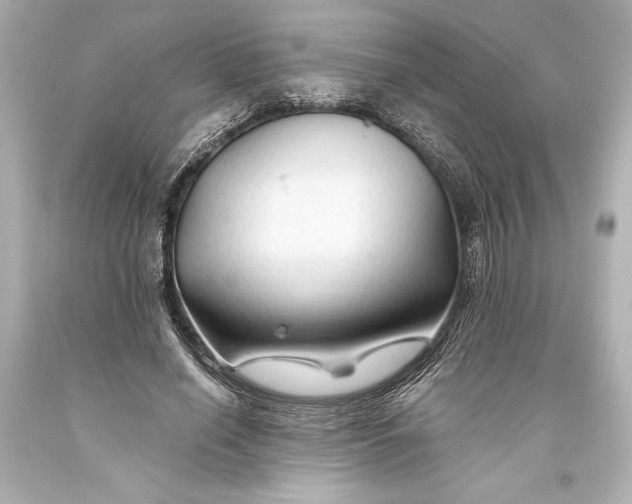 X0000093470638200711021233