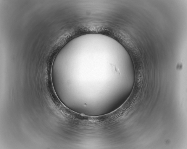 X0000093470639200711021233