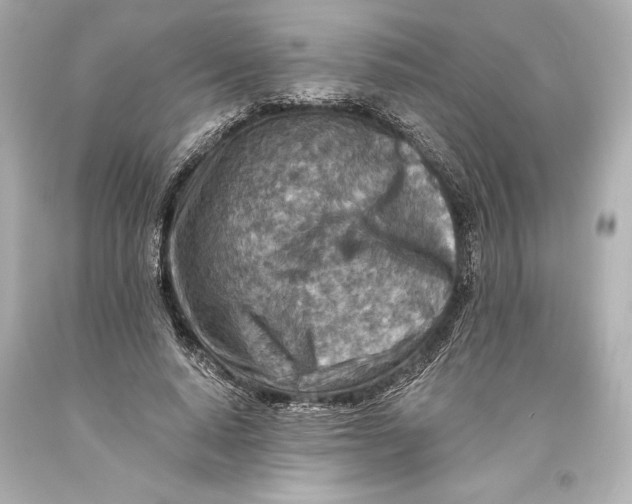 X0000093470640200711021233