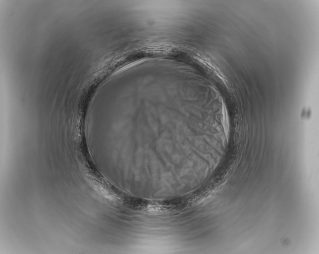 X0000093470641200711021233