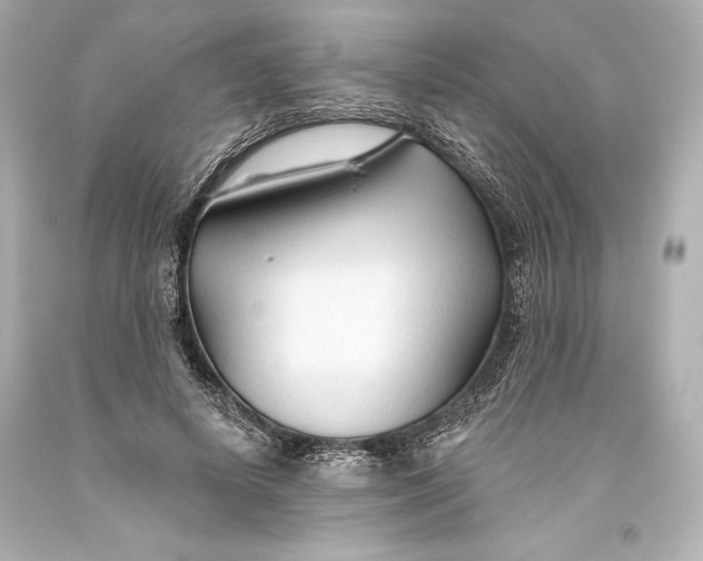 X0000093470642200711021233