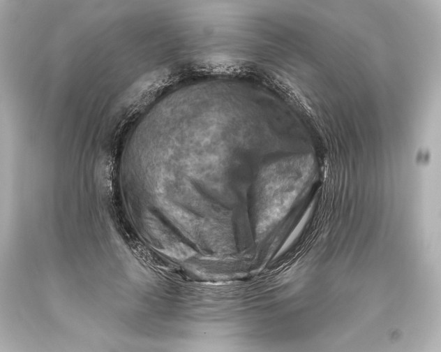 X0000093470643200711021233