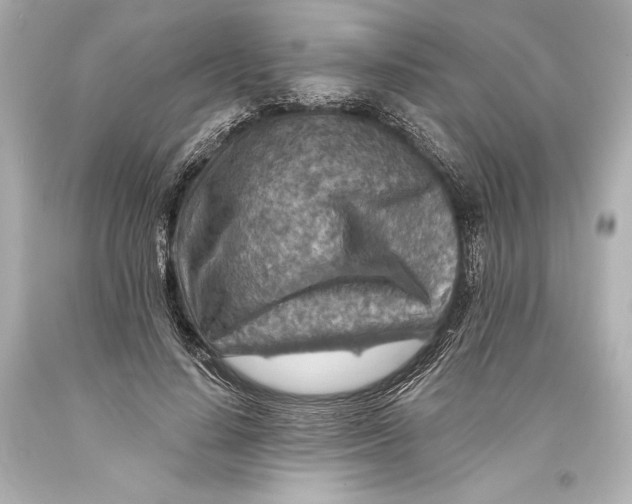 X0000093470644200711021233