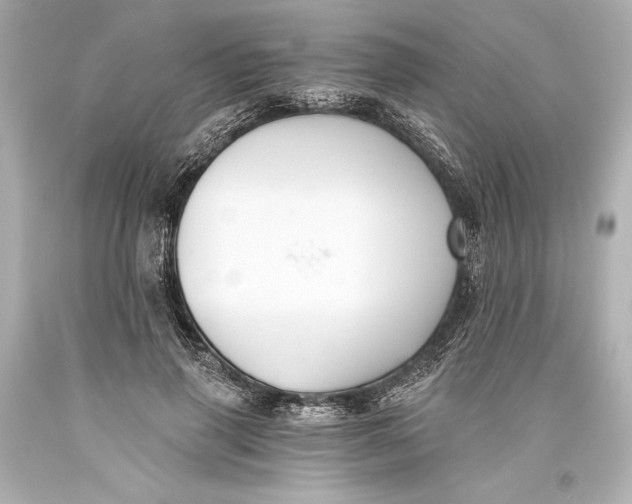 X0000093470645200711021233