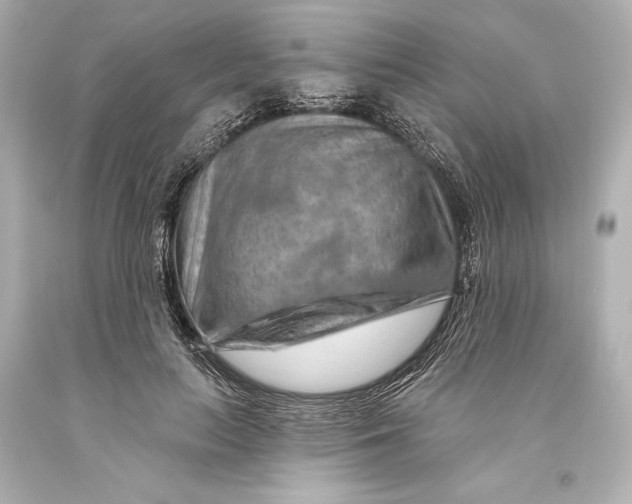 X0000093470647200711021233