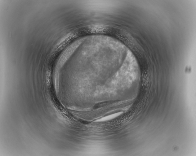 X0000093470648200711021233