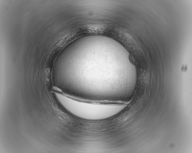 X0000093470649200711021233