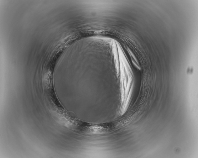 X0000093470650200711021233