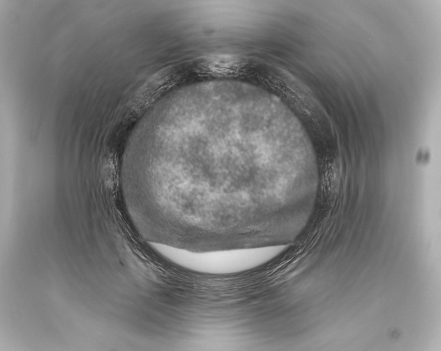 X0000093470651200711021233