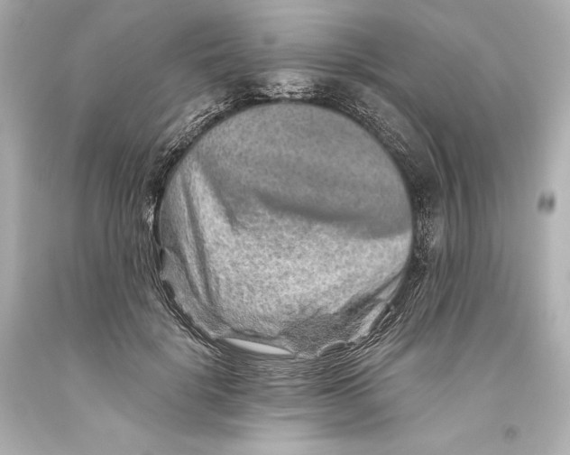 X0000093470652200711021233