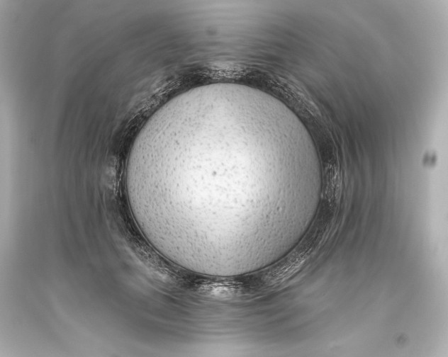 X0000093470655200711021233