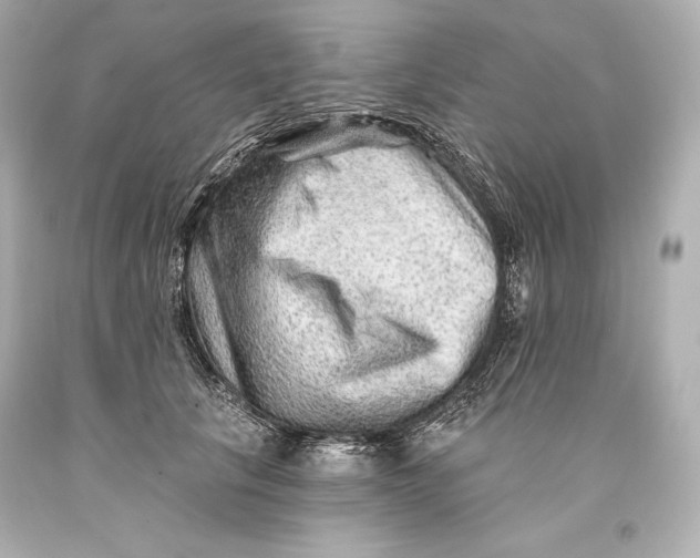 X0000093470657200711021233