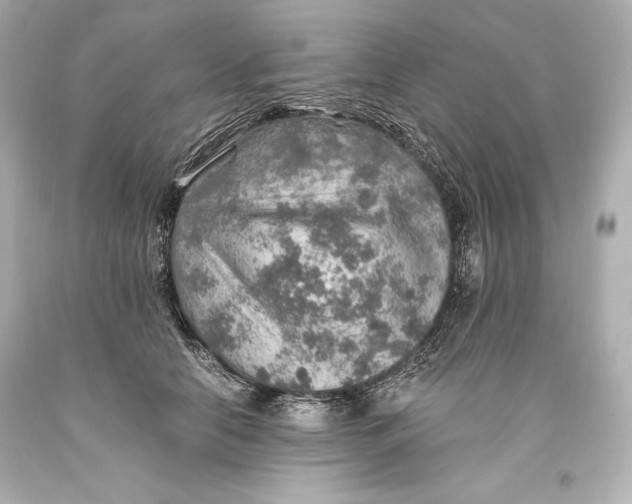 X0000093470658200711021233