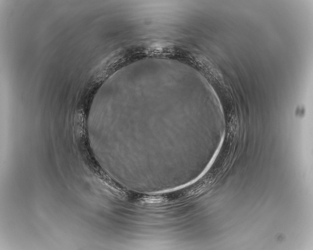 X0000093470659200711021233