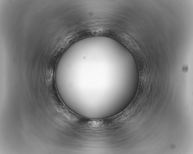 X0000093470660200711021233