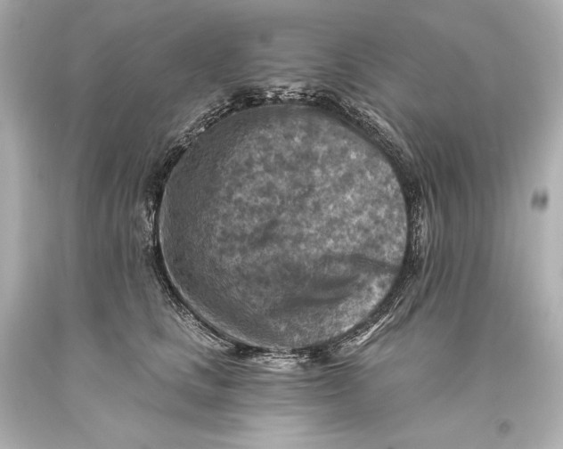 X0000093470661200711021233