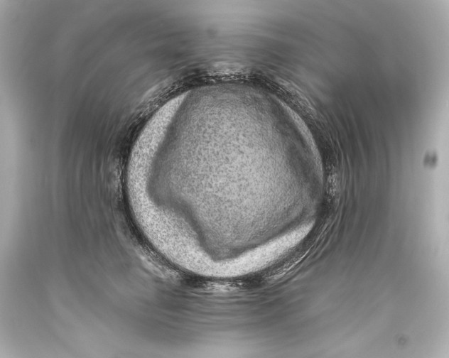 X0000093470662200711021233