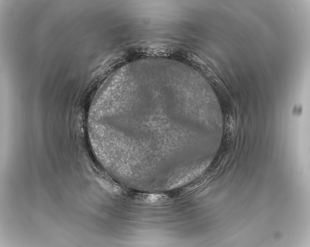 X0000093470663200711021233