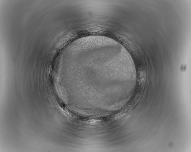 X0000093470664200711021233