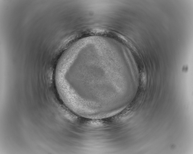 X0000093470668200711021233