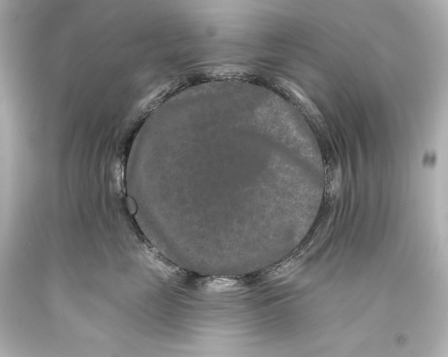 X0000093470669200711021233