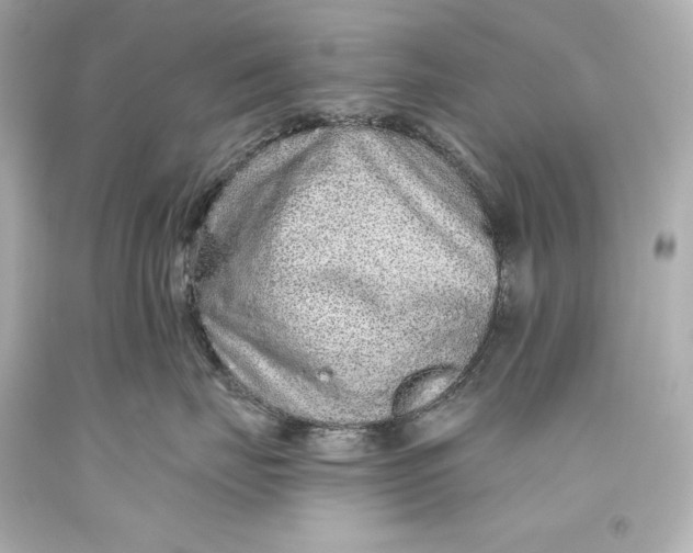 X0000093470671200711021233