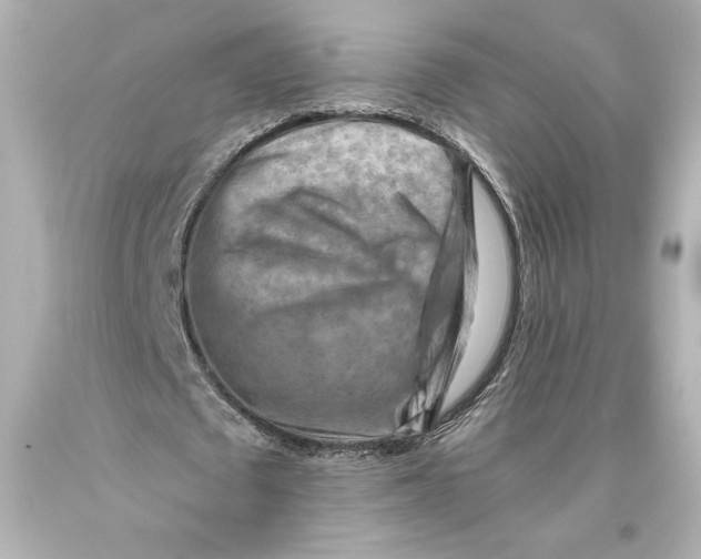 X0000093470673200711021233