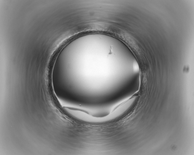 X0000093470676200711021233