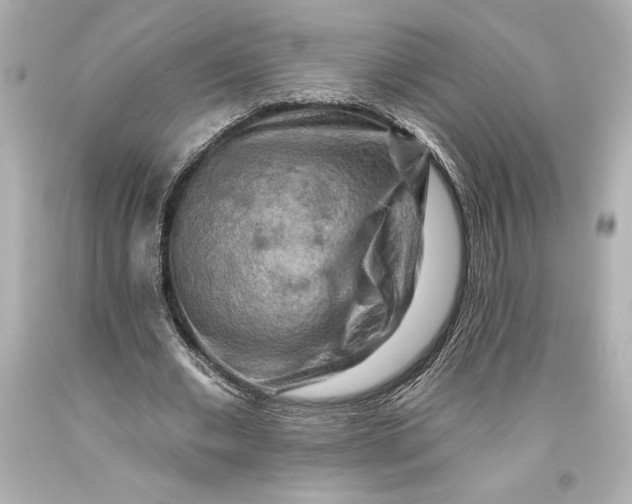 X0000093470677200711021233