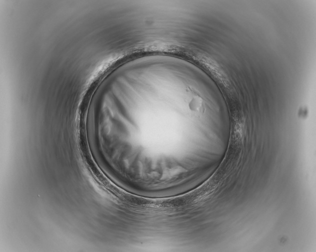 X0000093470678200711021233