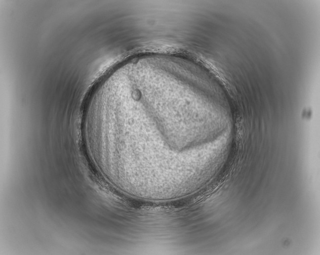 X0000093470679200711021233