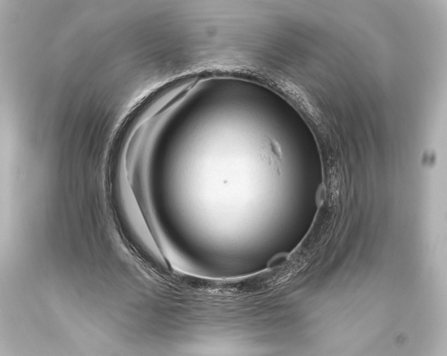 X0000093470680200711021233