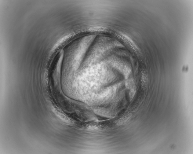 X0000093470684200711021233