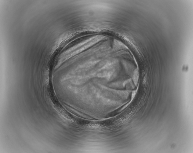 X0000093470685200711021233