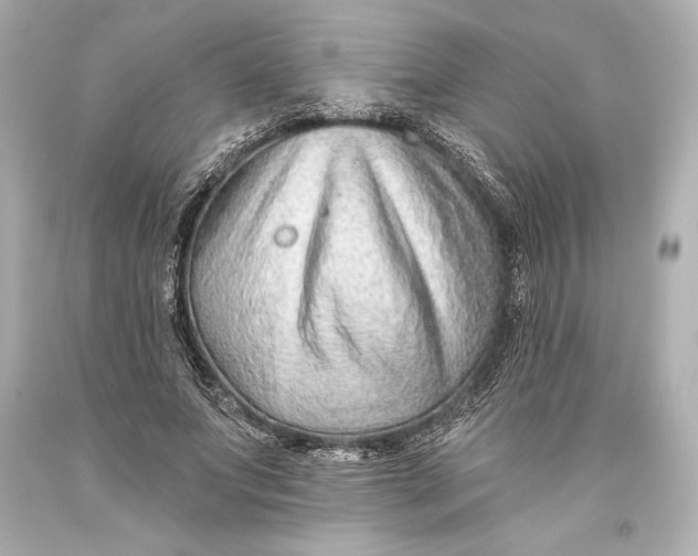 X0000093470687200711021232