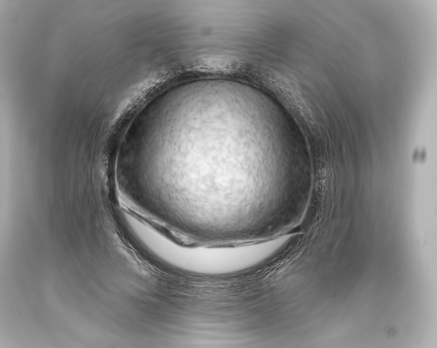 X0000093470688200711021232