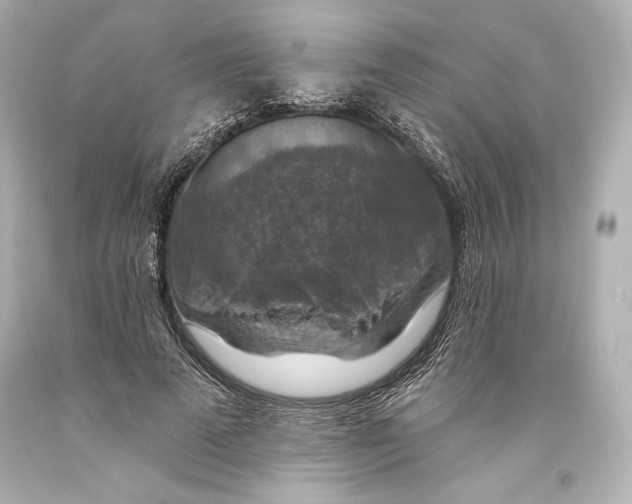 X0000093470689200711021232