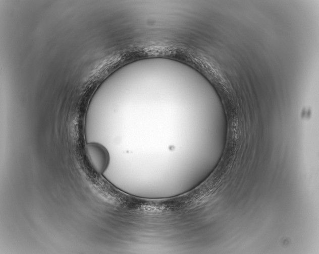 X0000093470690200711021232