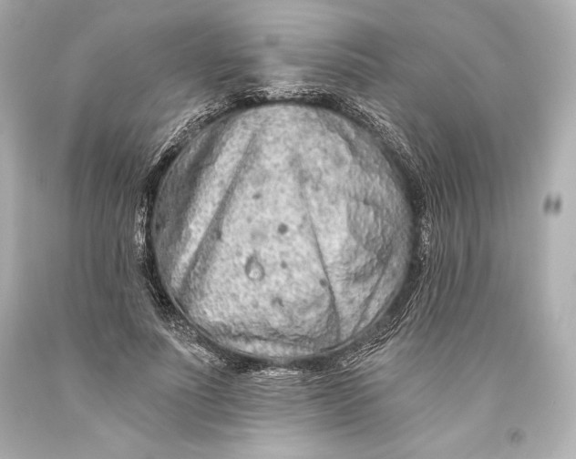 X0000093470691200711021232