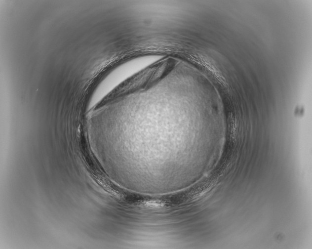 X0000093470692200711021232