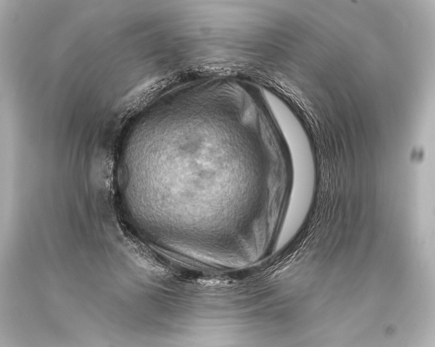 X0000093470693200711021232