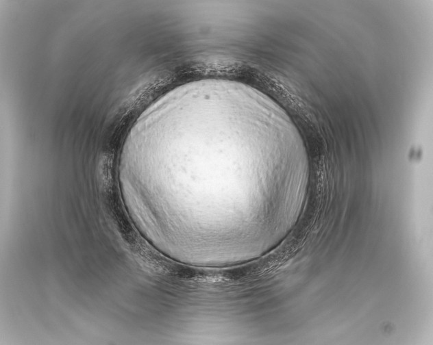 X0000093470695200711021232