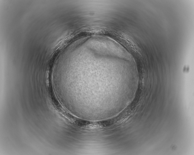 X0000093470696200711021232