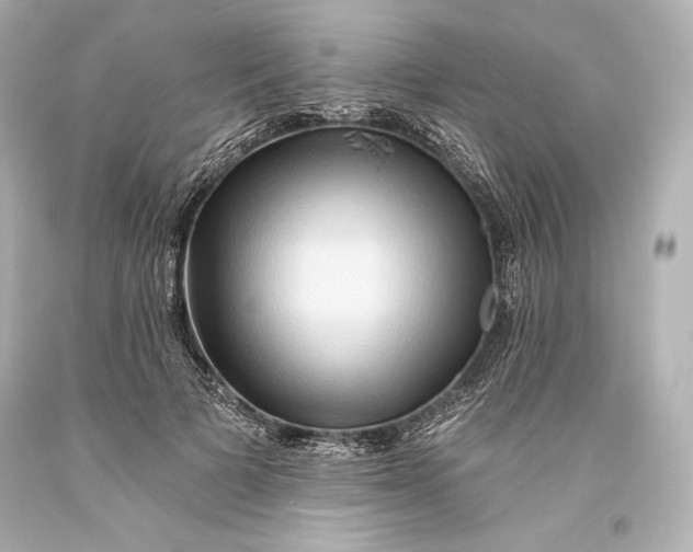 X0000093470697200711021232